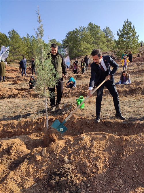 İlçemizde Milli Ağaçlandırma Günü Etkinliği Düzenlendi.
